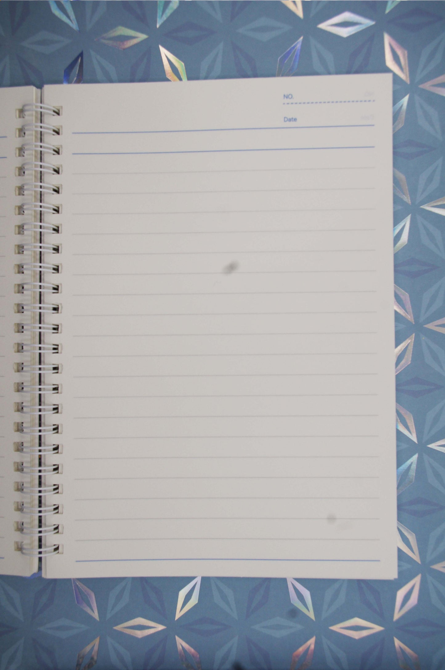 Perogi UFO Abduction Lined Journal