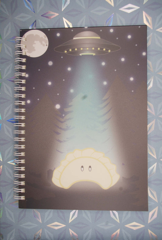 Perogi UFO Abduction Lined Journal