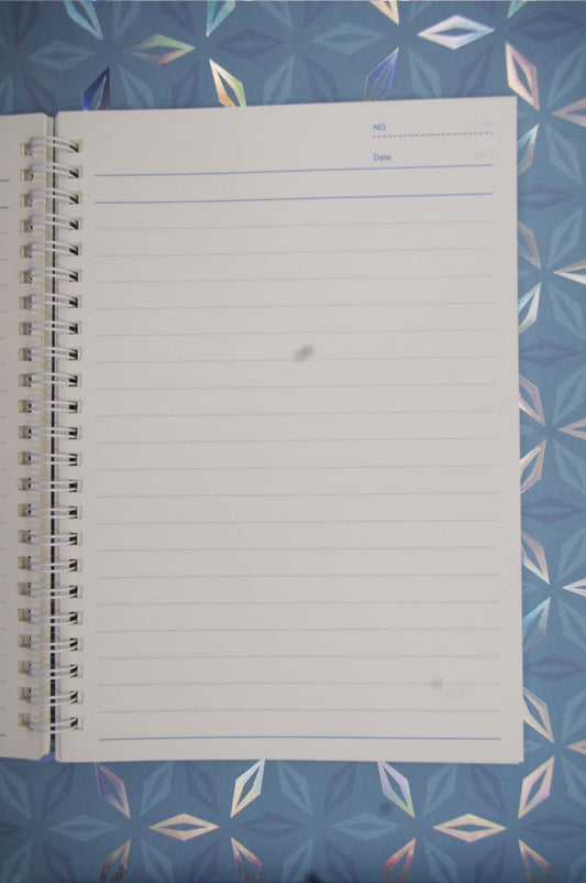 Perogi UFO Abduction Lined Journal