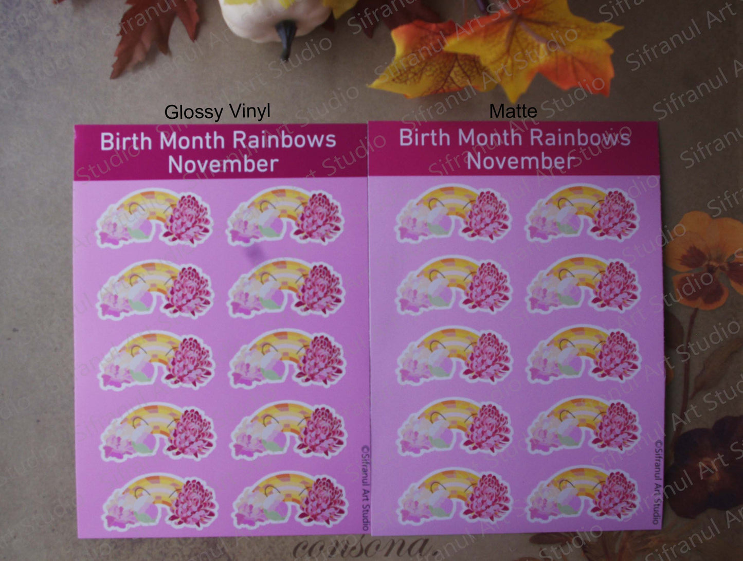 November Birthday Rainbow Stickers