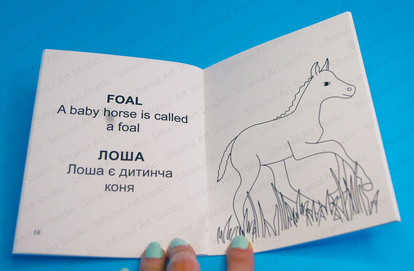 Spring Animals Little Colouring Book