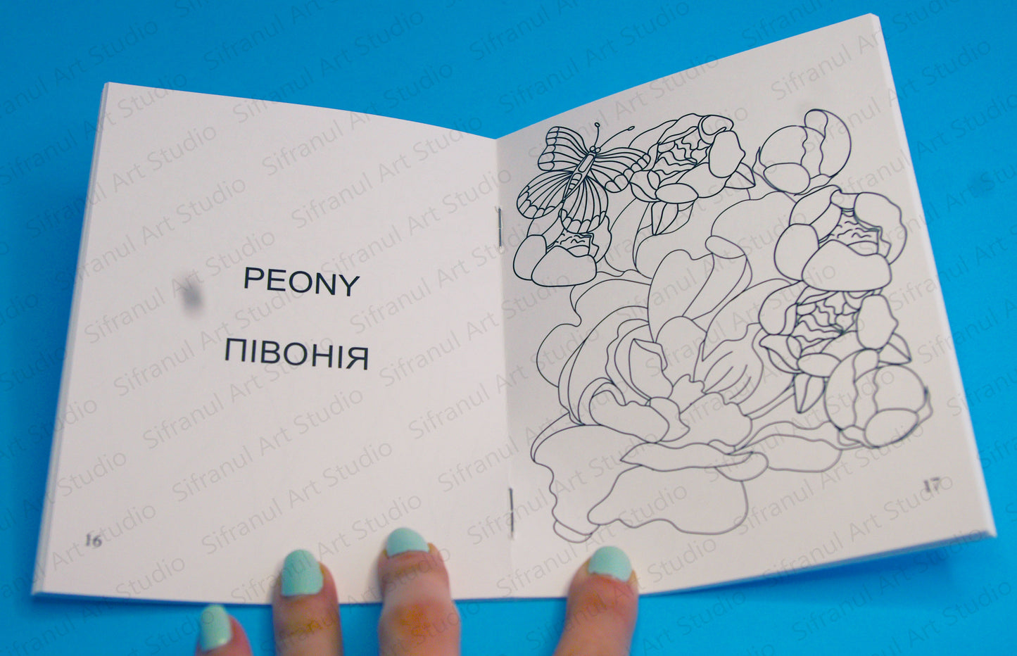Spring Flowers Little Colouring Book