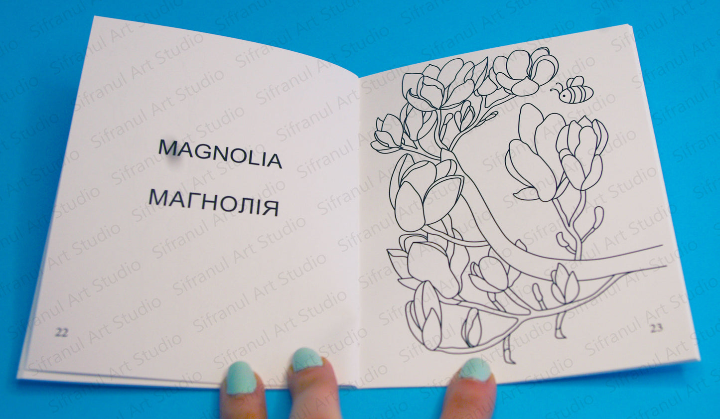 Spring Flowers Little Colouring Book